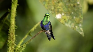 Nature, Season 35 Episode 1 image