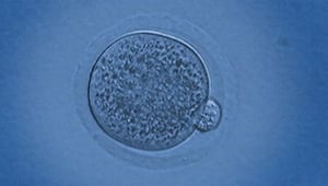 Horizon, Season 46 Episode 14 image