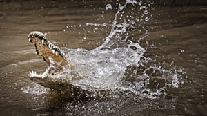 I Was Prey, Season 3 Episode 3 image