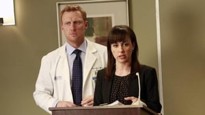 Grey's Anatomy, Season 9 Episode 15 image