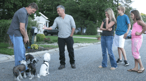 Dog Whisperer with Cesar Millan, Season 9 Episode 5 image