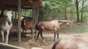 Blind Date, Season 1 Episode 18 image