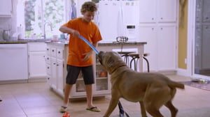 Cat Vs. Dog, Season 1 Episode 2 image