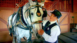 One Day at Disney, Season 1 Episode 24 image