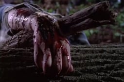 PSI Factor: Chronicles of the Paranormal, Season 1 Episode 10 image