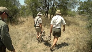 Viking Chronicles, Season 2 Episode 10 image