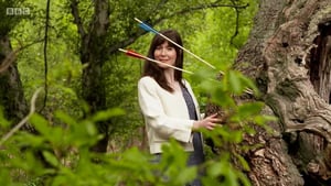 Bargain Hunt, Season 60 Episode 1 image