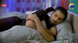 Shiddat, Season 1 Episode 28 image