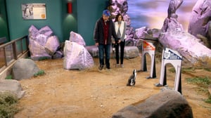 The Odd Couple, Season 3 Episode 11 image