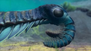 Life on Our Planet, Season 1 Episode 2 image