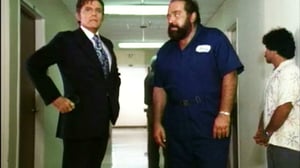 Hawaii Five-O, Season 12 Episode 1 image