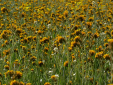 Outside Beyond the Lens, Season 1 Episode 6 image