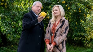 Der Staatsanwalt, Season 17 Episode 8 image