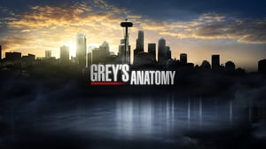 Grey's Anatomy, Season 10 Episode 8 image