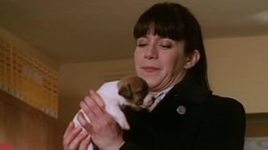 Murder in Suburbia, Season 2 Episode 5 image