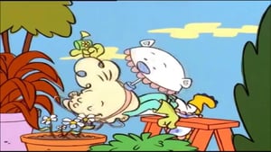 Ed, Edd n Eddy, Season 3 Episode 13 image