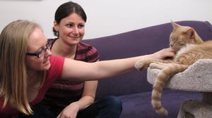 My Cat from Hell, Season 4 Episode 11 image