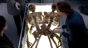 Bones, Season 4 Episode 12 image