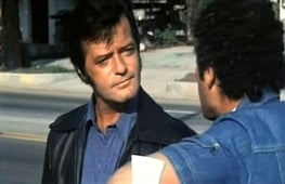 Police Story, Season 4 Episode 22 image