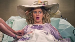 Fuller House, Season 4 Episode 13 image