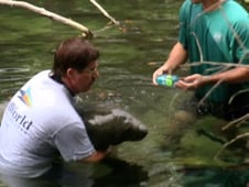 Sea Rescue, Season 1 Episode 6 image