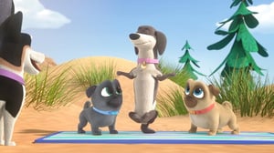Puppy Dog Pals, Season 3 Episode 9 image