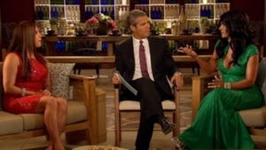 The Real Housewives of New Jersey, Season 4 Episode 21 image
