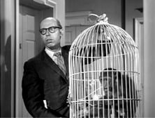 How to Marry a Millionaire, Season 2 Episode 1 image