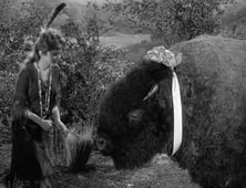 Petticoat Junction, Season 2 Episode 7 image