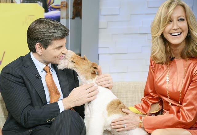 Top Videos: Courtney Love's New Web Series, Westminster Dog Show, Ellen Plays Giant Jenga