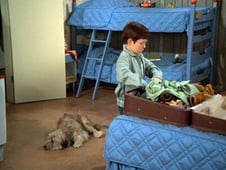 The Brady Bunch, Season 1 Episode 10 image