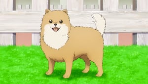 Spy x Family, Season 1 Episode 13 image