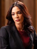 Law & Order, Season 22 Episode 10 image