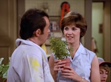 Laverne & Shirley, Season 3 Episode 11 image