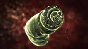 Monsters Inside Me, Season 2 Episode 8 image