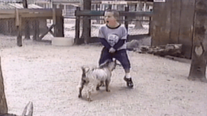 America's Funniest Home Videos, Season 12 Episode 9 image