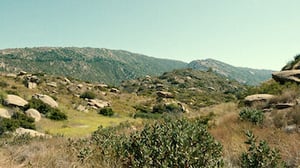 Beef, Season 1 Episode 10 image