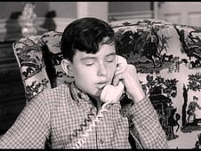 Leave It to Beaver, Season 5 Episode 37 image