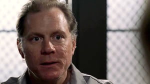 Law & Order, Season 14 Episode 21 image