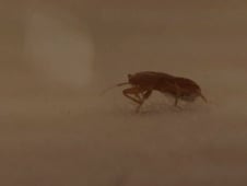 The Invaders, Season 1 Episode 6 image