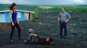 Hawaii Five-0, Season 5 Episode 9 image