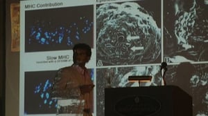 Heroes, Season 2 Episode 1 image