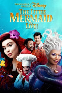 The Wonderful World of Disney Presents The Little Mermaid Live! as The eccentric French cook