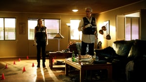 CSI: Crime Scene Investigation, Season 13 Episode 7 image