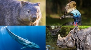 Nova, Season 49 Episode 2 image