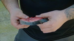 Wicked Tuna: North vs. South, Season 2 Episode 2 image