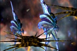 Babylon 5, Season 3 Episode 21 image