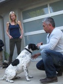 Dog Whisperer, Season 8 Episode 8 image