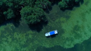 I Was Prey, Season 2 Episode 7 image