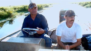 Swamp People, Season 2 Episode 14 image